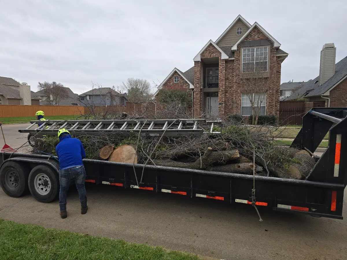 Expert Tree Removal with proper safety equipment in Elkmont